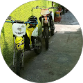 Alberto Yael Angeles profile picture